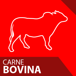 carne_bobina