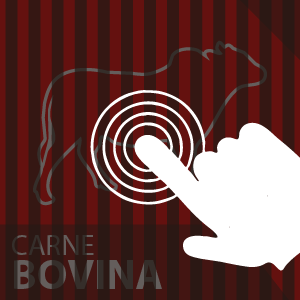 carne_bobina