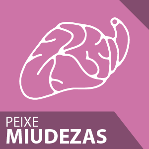 miudezas